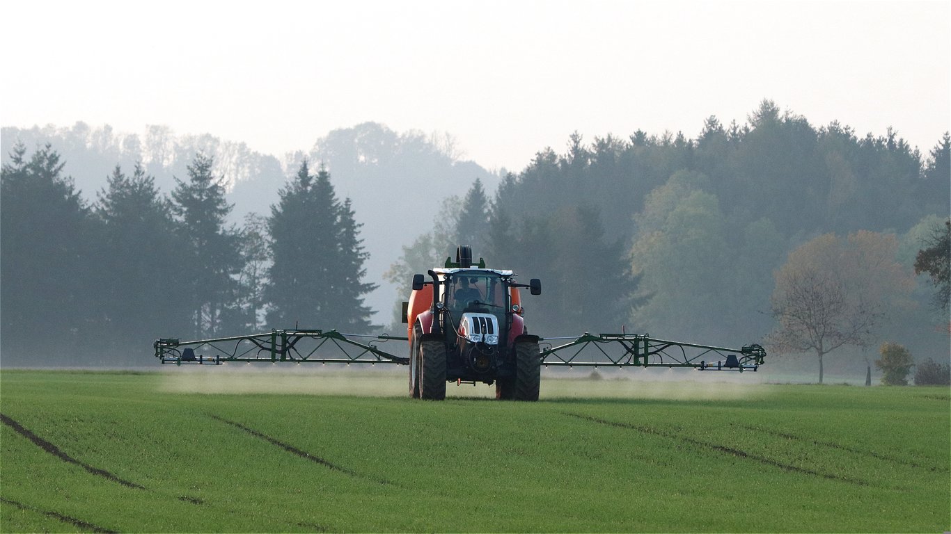 lawn weed control