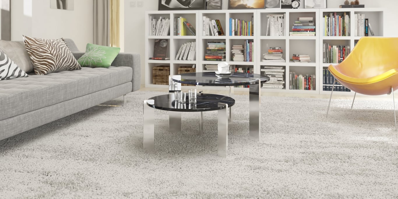 professional carpet cleaning living room