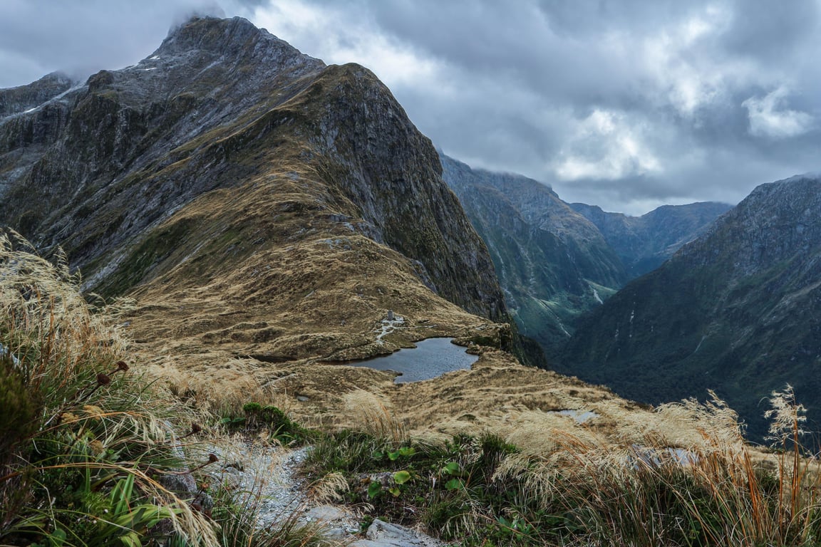 Mackinnon Pass Milford Track