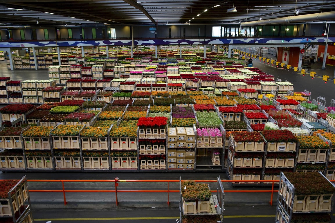warehouse inventory shelves