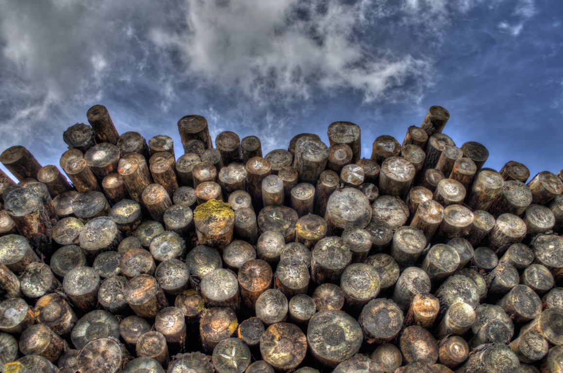firewood stack beside house