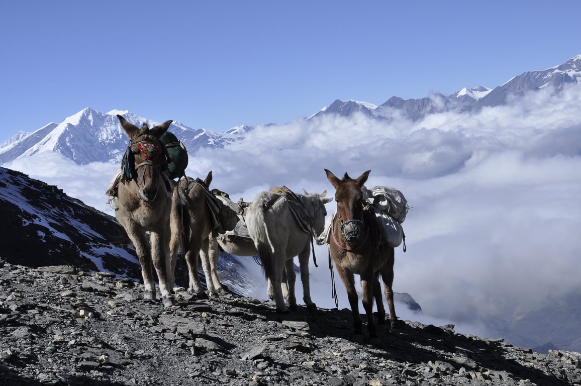 Nepal tea house trek