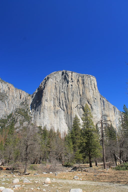 Yosemite High Sierra
