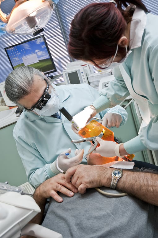 dog veterinary dental exam