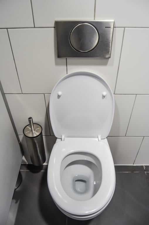 toilet auger