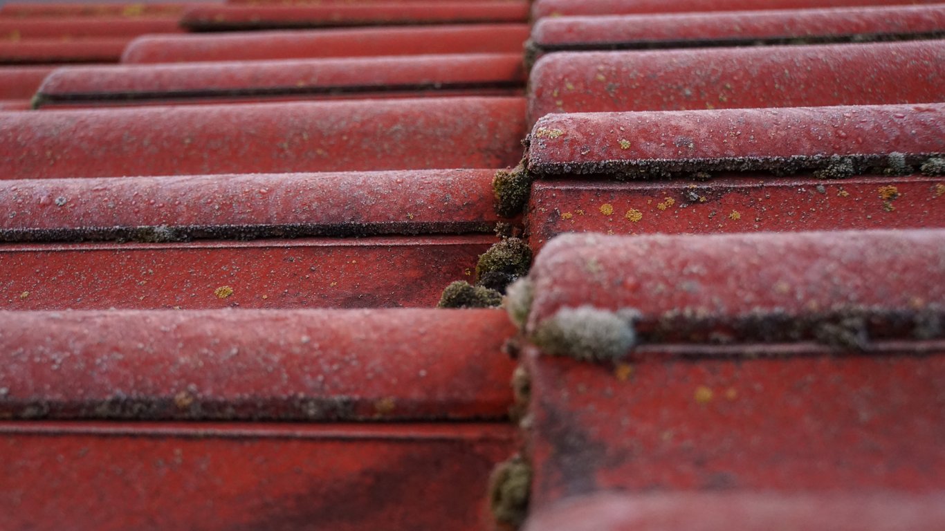 roofing contractor inspecting roof