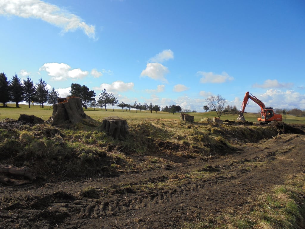 JCB backhoe loader