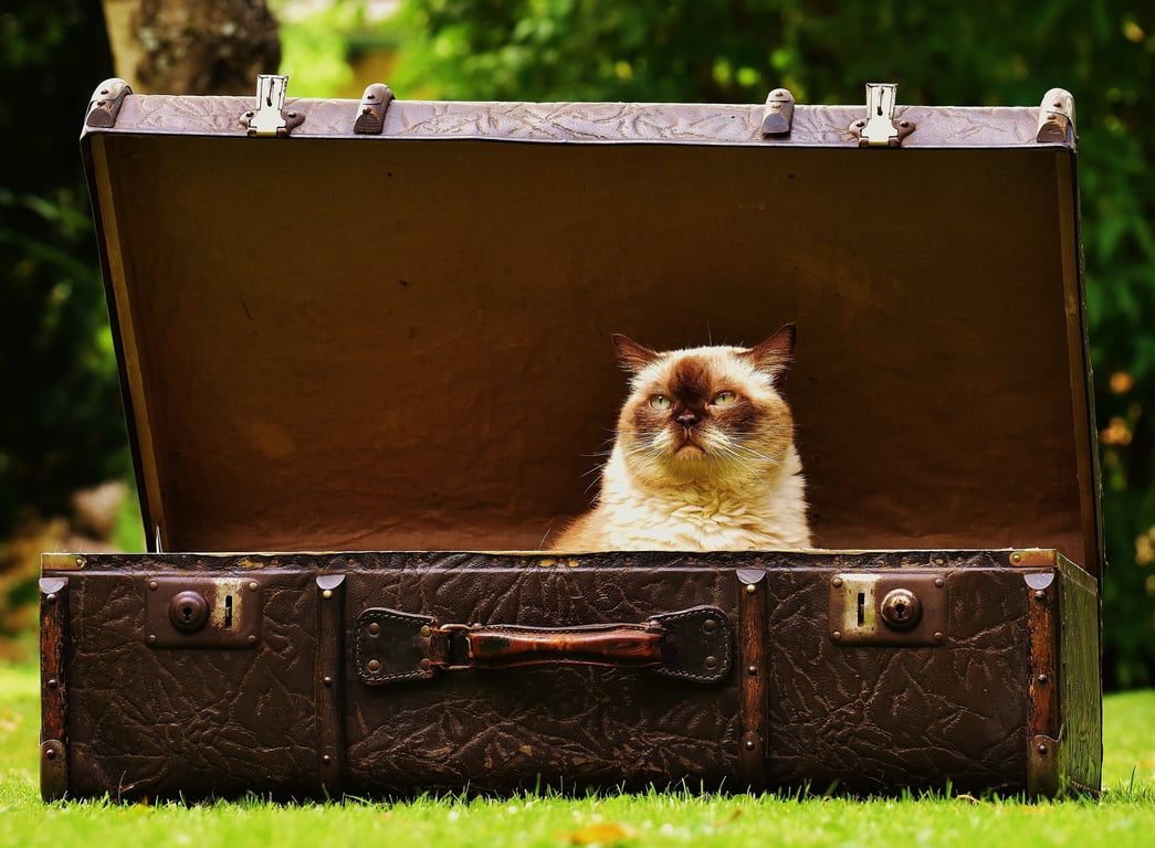 damaged rolling suitcase