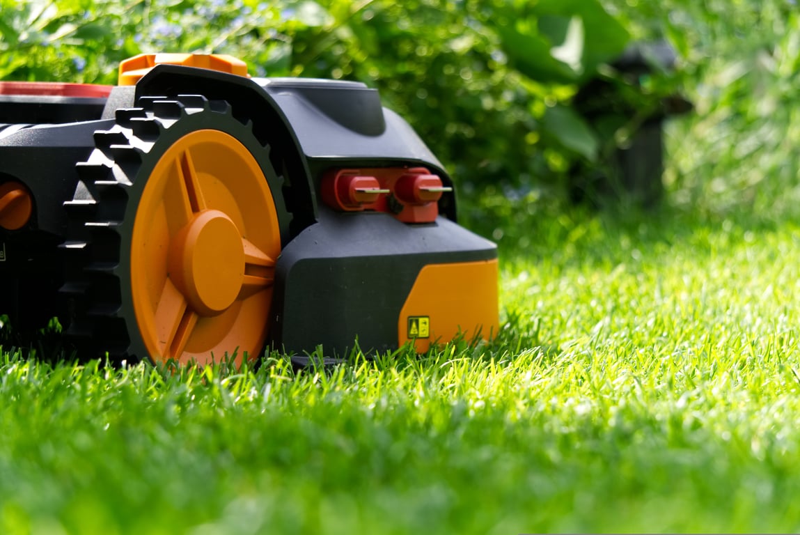 lawn mowing service