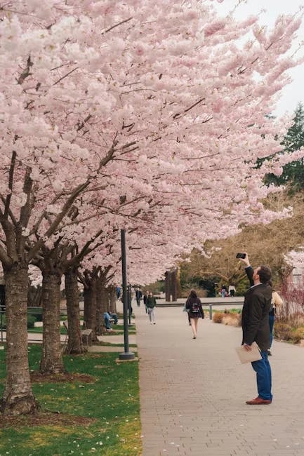 Image describing Top 7 Canadian Universities to Watch in 2025