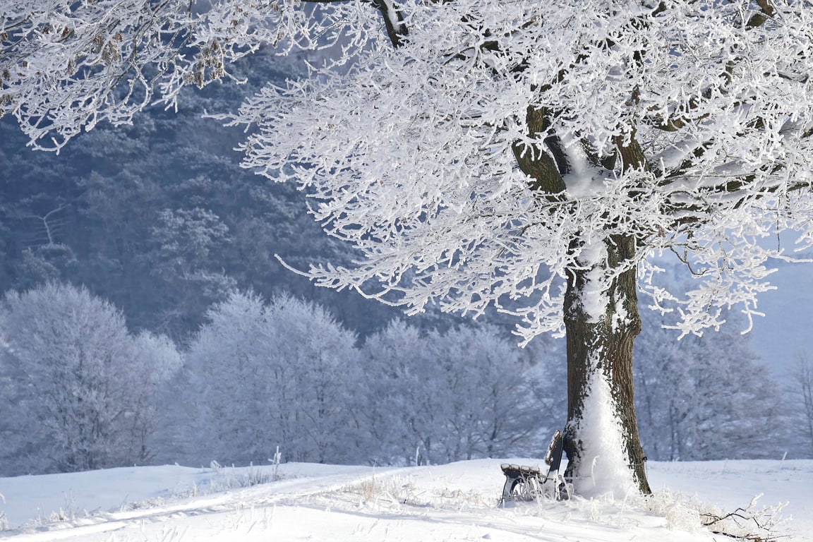winter tires on snow