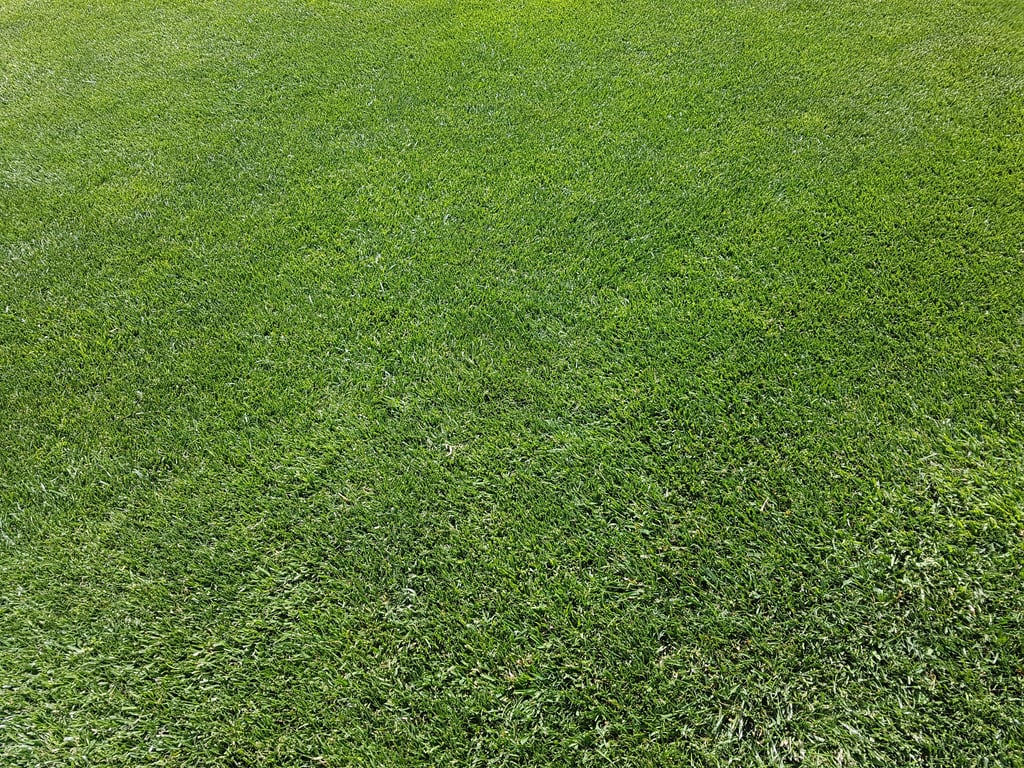 lawn care technician