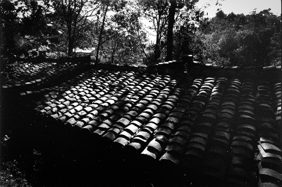 Roof Tiles: A Homeowner’s Guide to Materials, Costs, Repairs, and Replacement