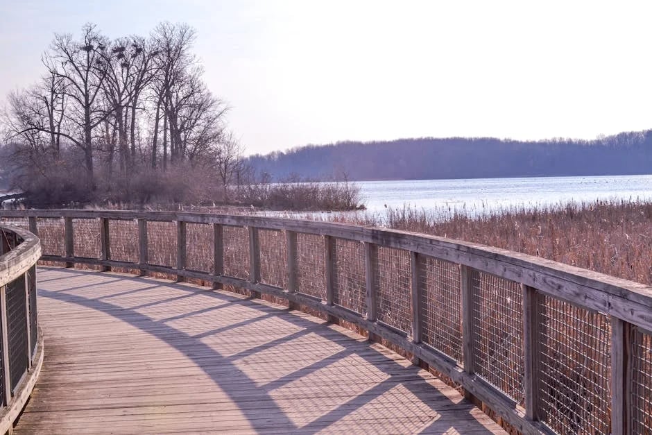 Image describing 2025s Best Card Chase Reserve or Amex Platinum?