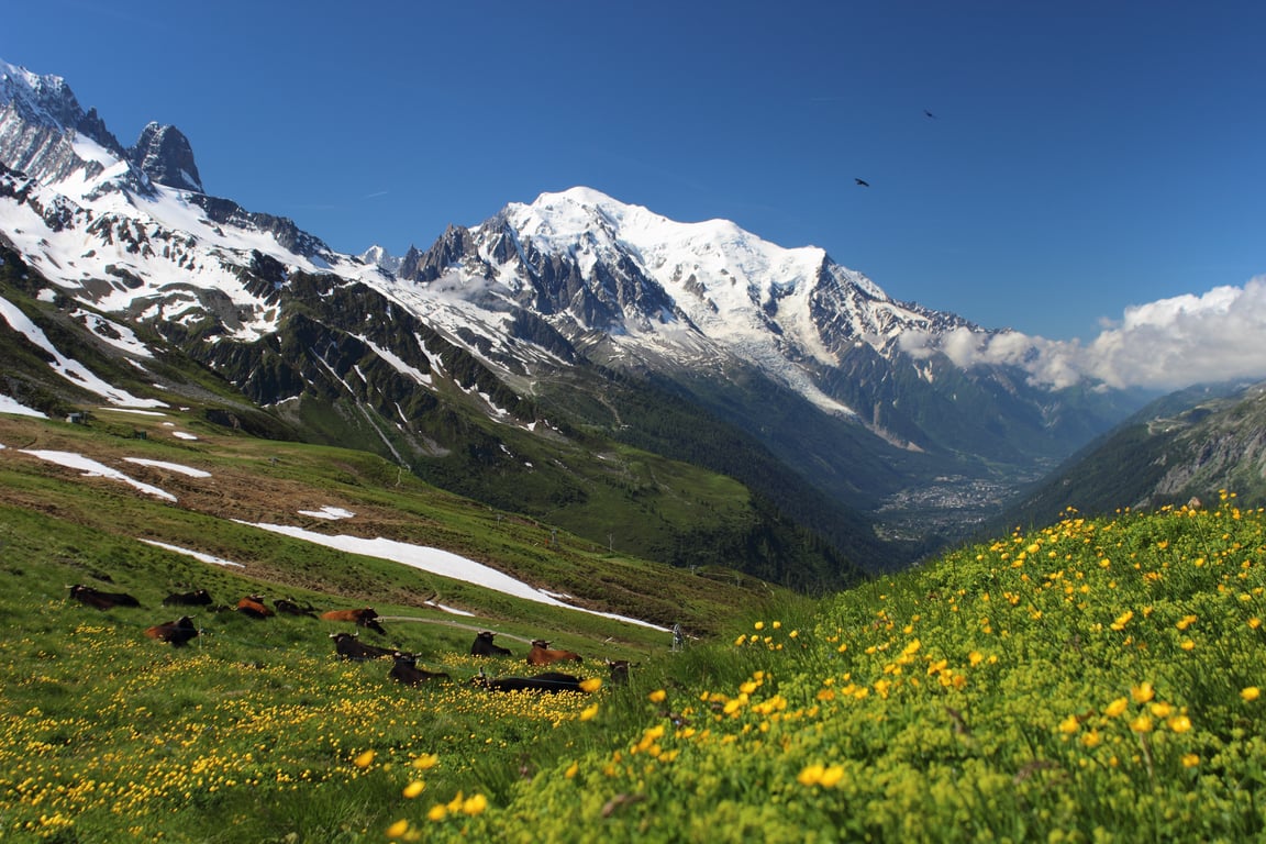 Tour du Mont Blanc hiking trail