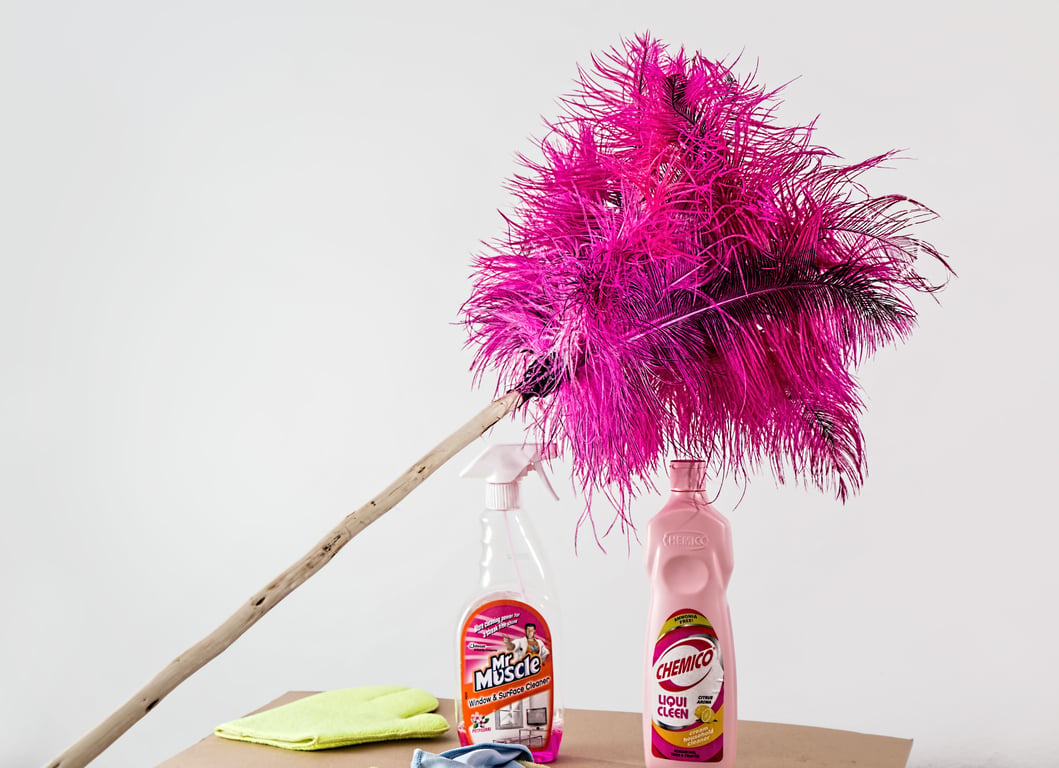 professional home cleaner