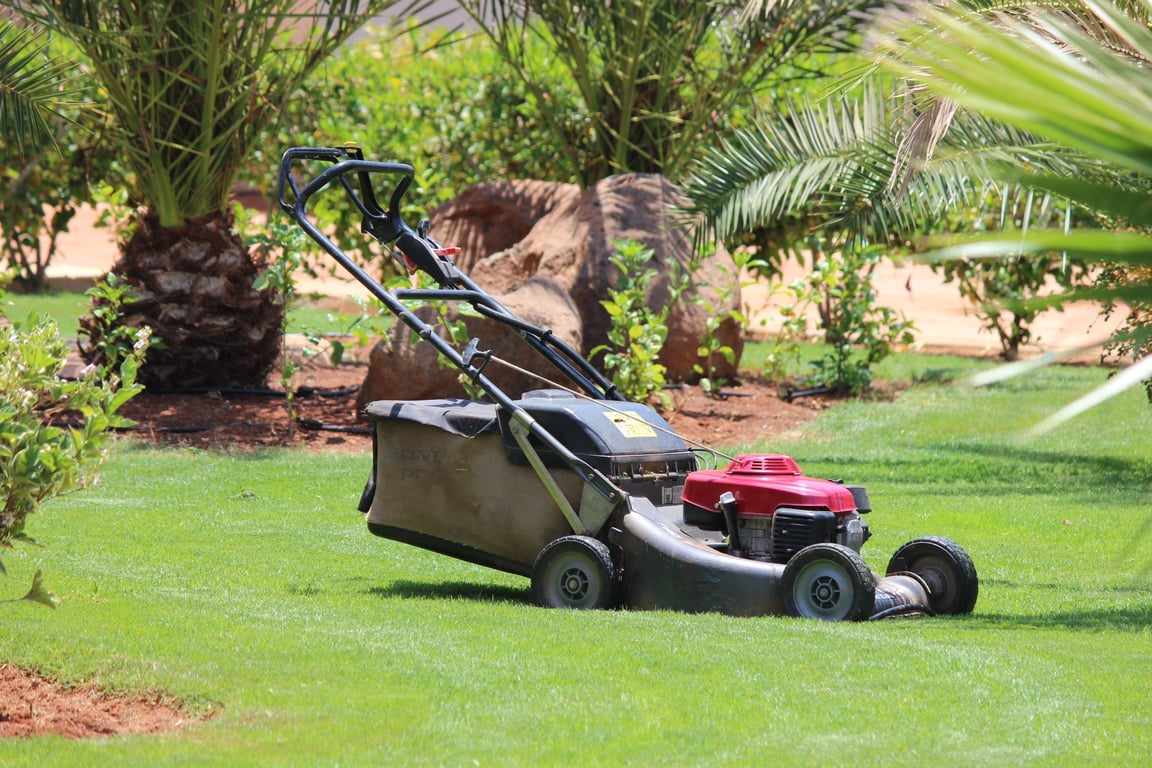 lawn mower striped grass