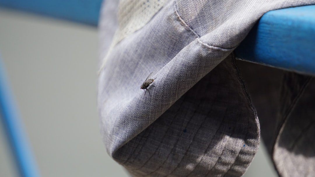 Bed Bug Exterminator Near Me: How to Choose the Right Local Service
