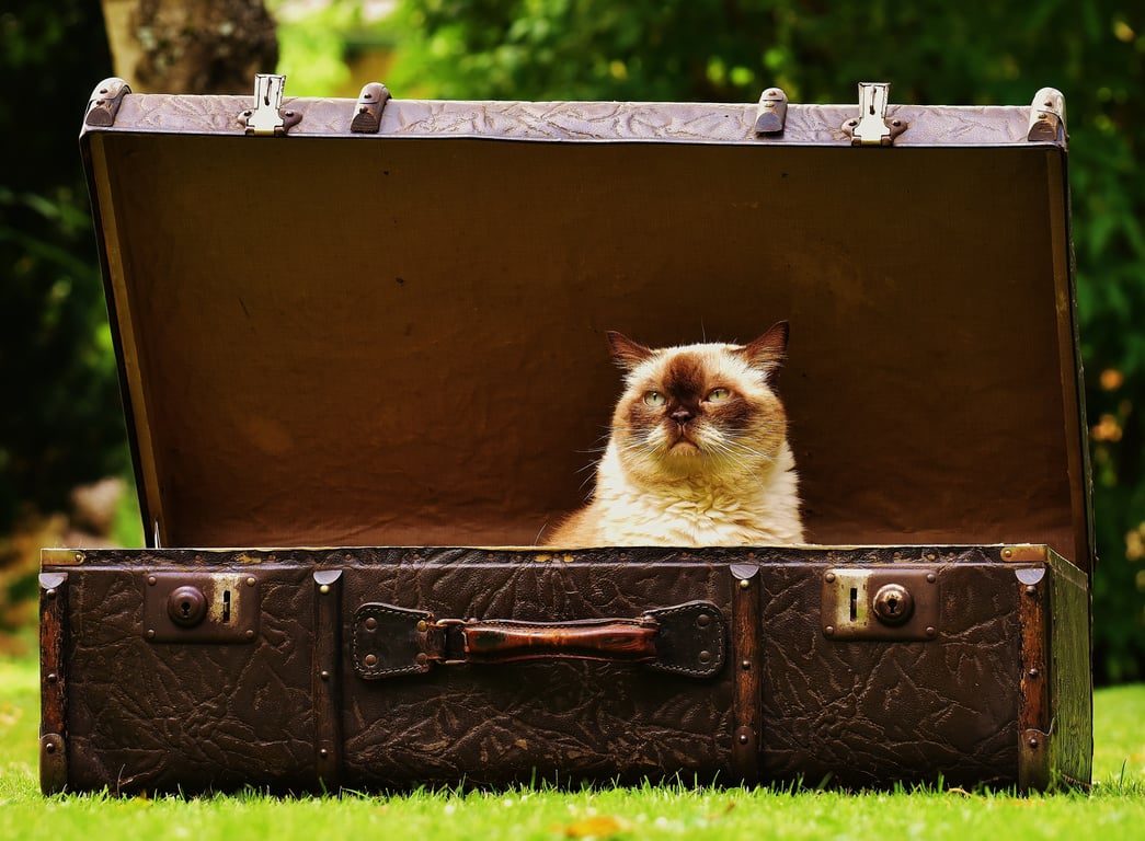 damaged suitcase wheel