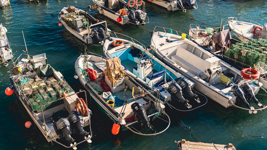 Aluminum Fishing Boats: A Practical Buyer’s Guide to Durable, Versatile Angling Craft