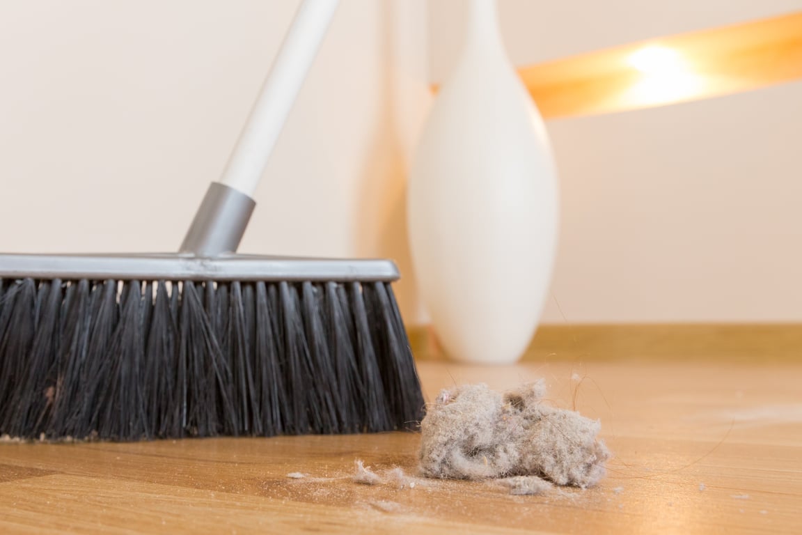 professional house cleaning