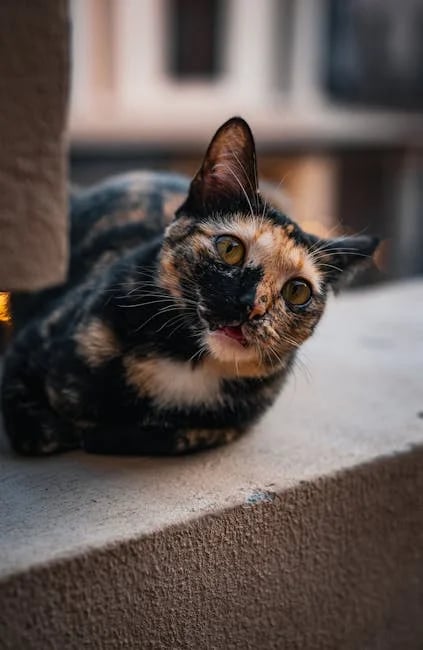 Image describing Best Free Invoice Template Download 2026 Fast & Simple?