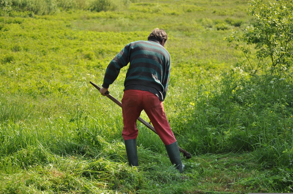 lawn mowing