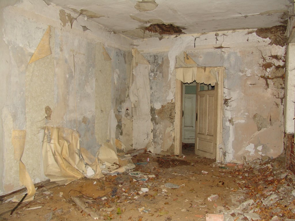 whole-house renovation