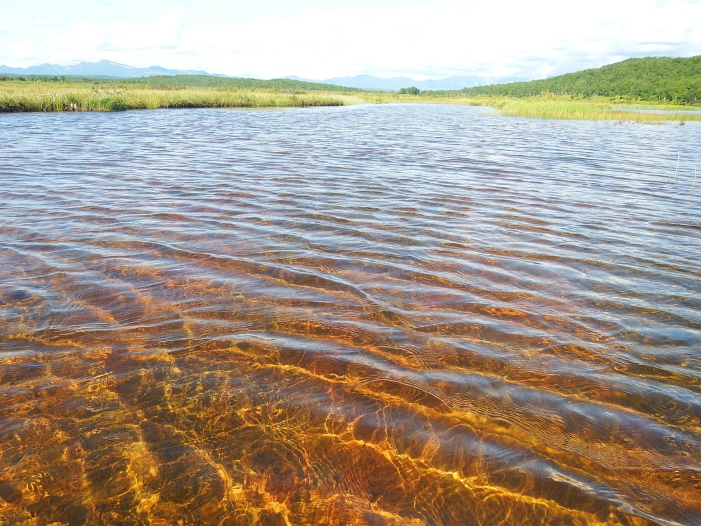 HVAC technician inspecting air duct