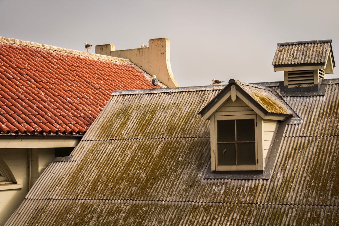 Leaky Roof Repair Near Me: How to Find a Qualified Local Roofer Fast