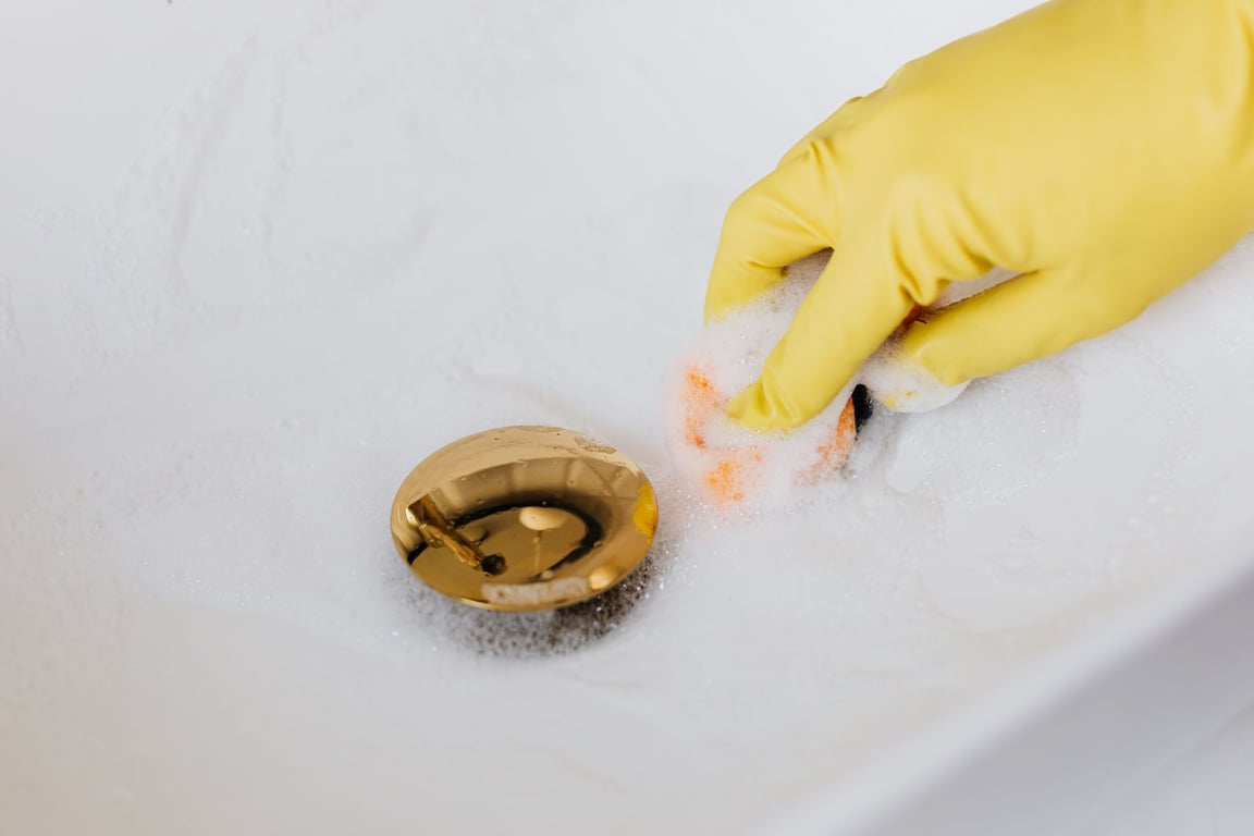 Molly Maid Rates: What Shapes the Cost of Professional House Cleaning