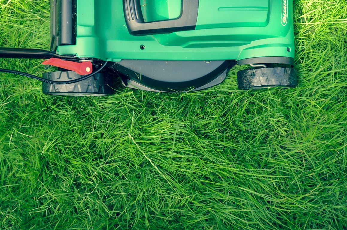 garden maintenance lawn mowing