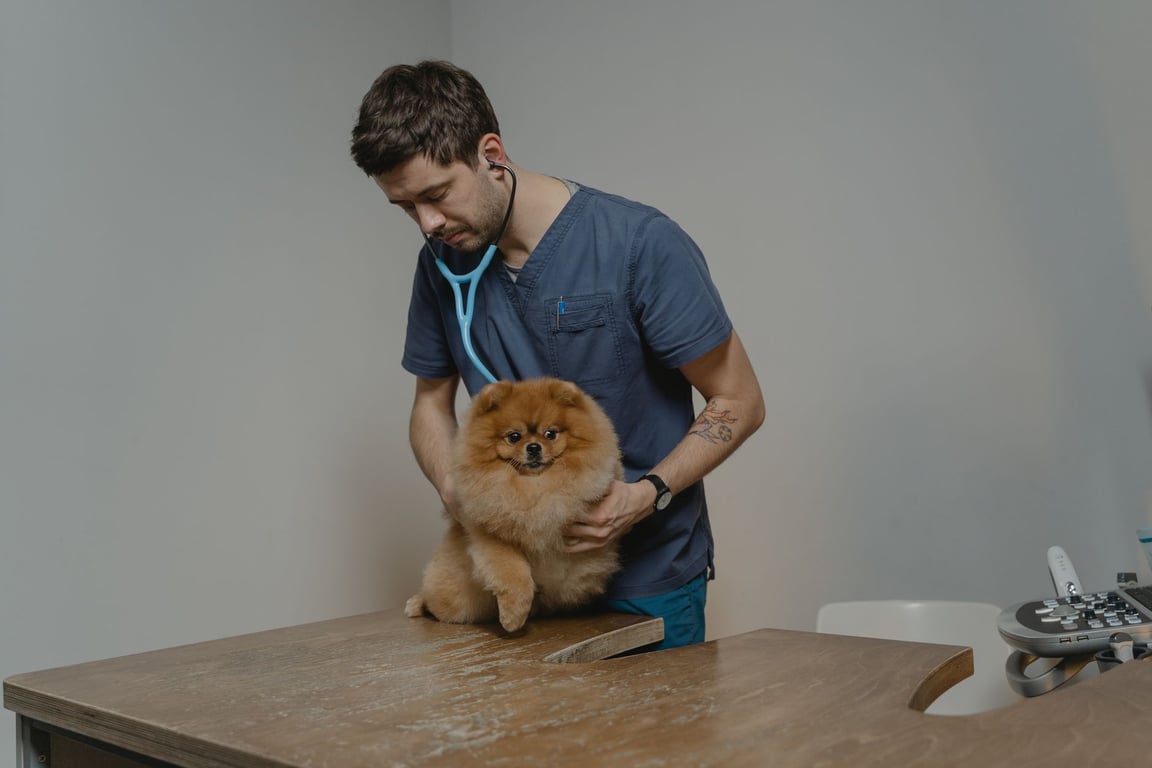 puppy veterinary exam