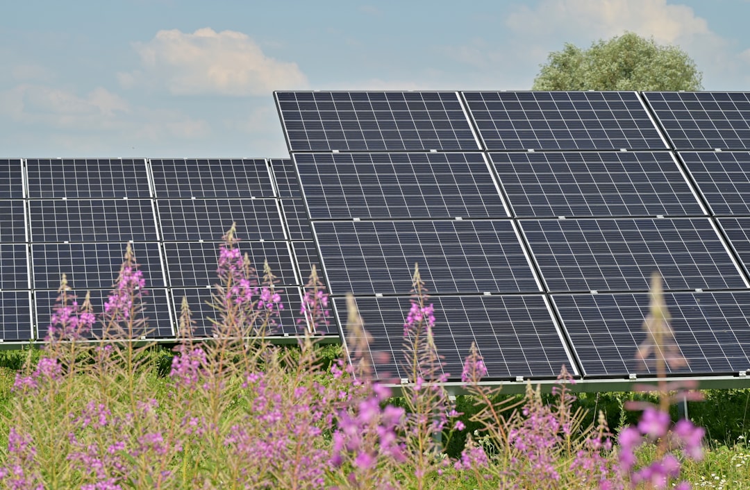 Solar Panel Companies Near Me: How to Compare Local Installers Before You Sign