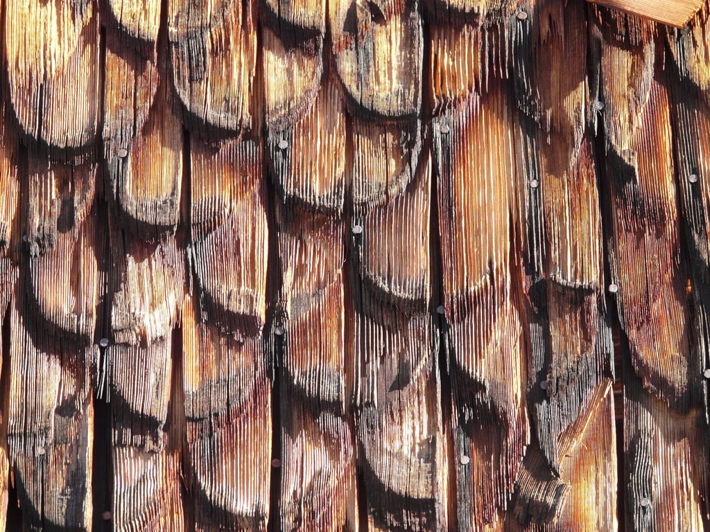 roofing contractor inspecting shingles