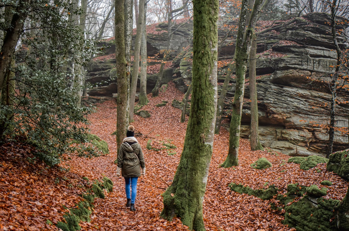 rocky forest trail