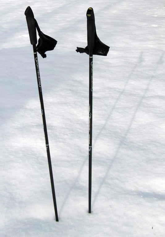 hiking trekking poles