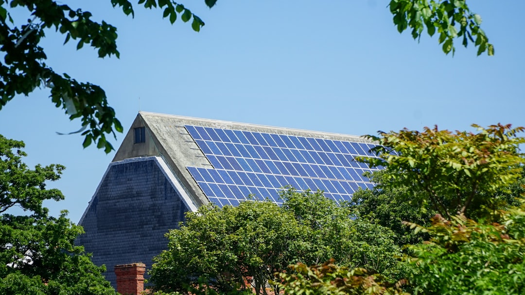 Solar Metal Roofs: What Homeowners Should Know Before Installing Panels