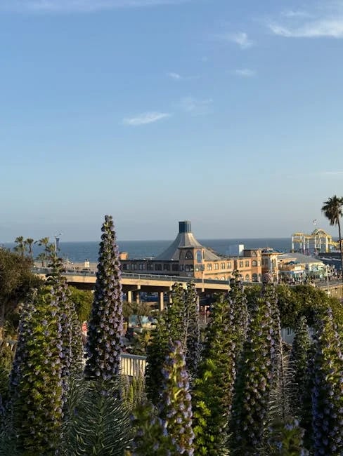 Image describing Top LULAC Scholarships You Need to Apply For in 2025