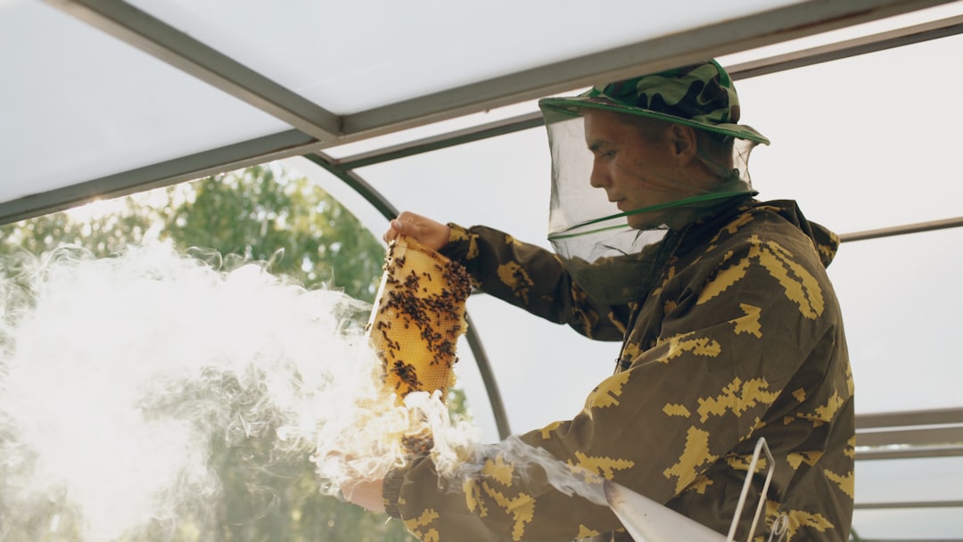 Pest Prevention Services: Why Early Protection Beats Emergency Treatment