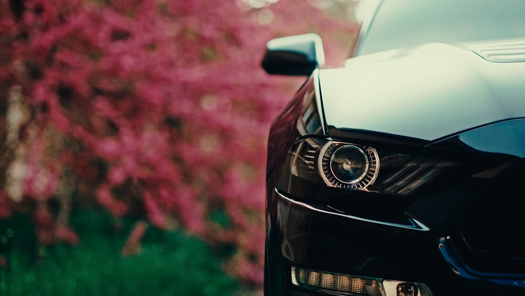 Cheap Insurance Quotes: Compare Price, Coverage, and the True Cost of Car Ownership