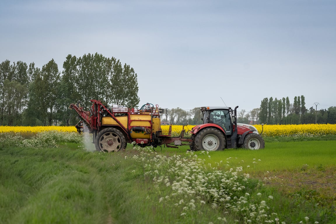 lawn weed spraying