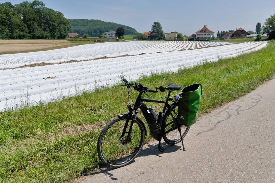 Image describing Unlock Disney Dreamlight Valley Top Switch Tips Now!