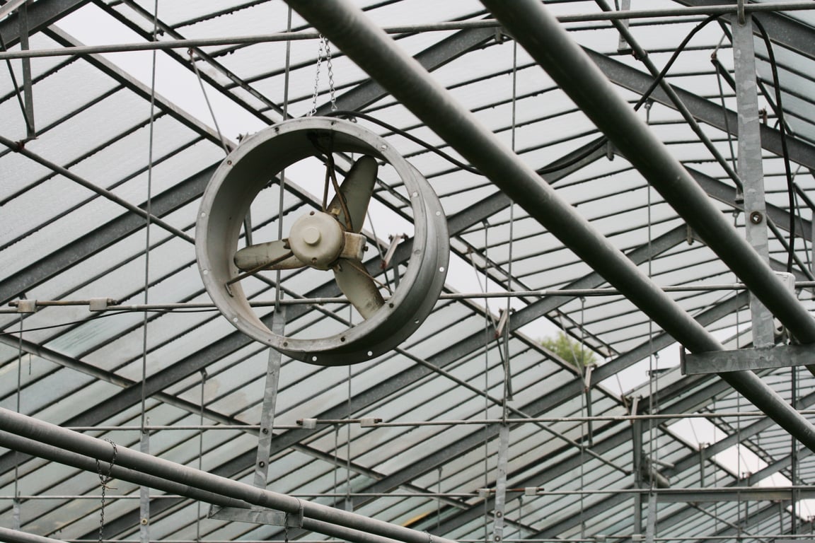 hail-damaged metal roof