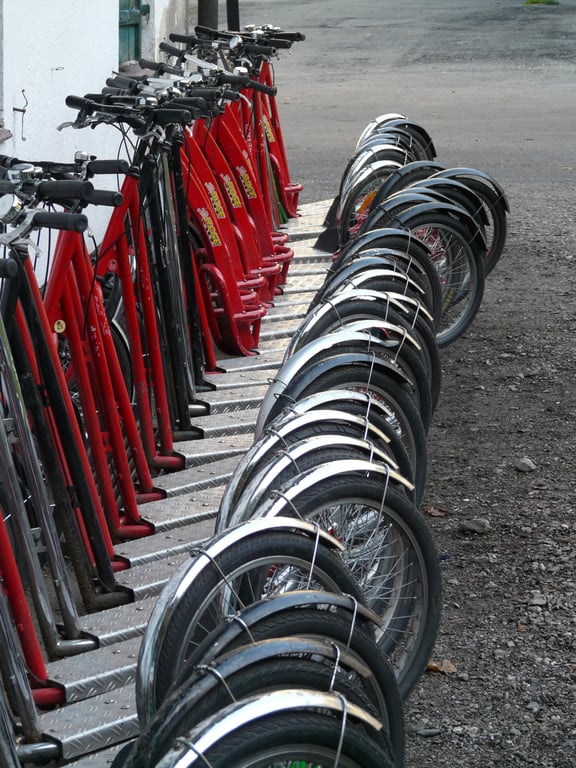 electric vehicle tire inspection