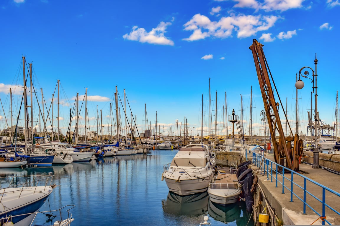 Freedom Boat Club marina boats