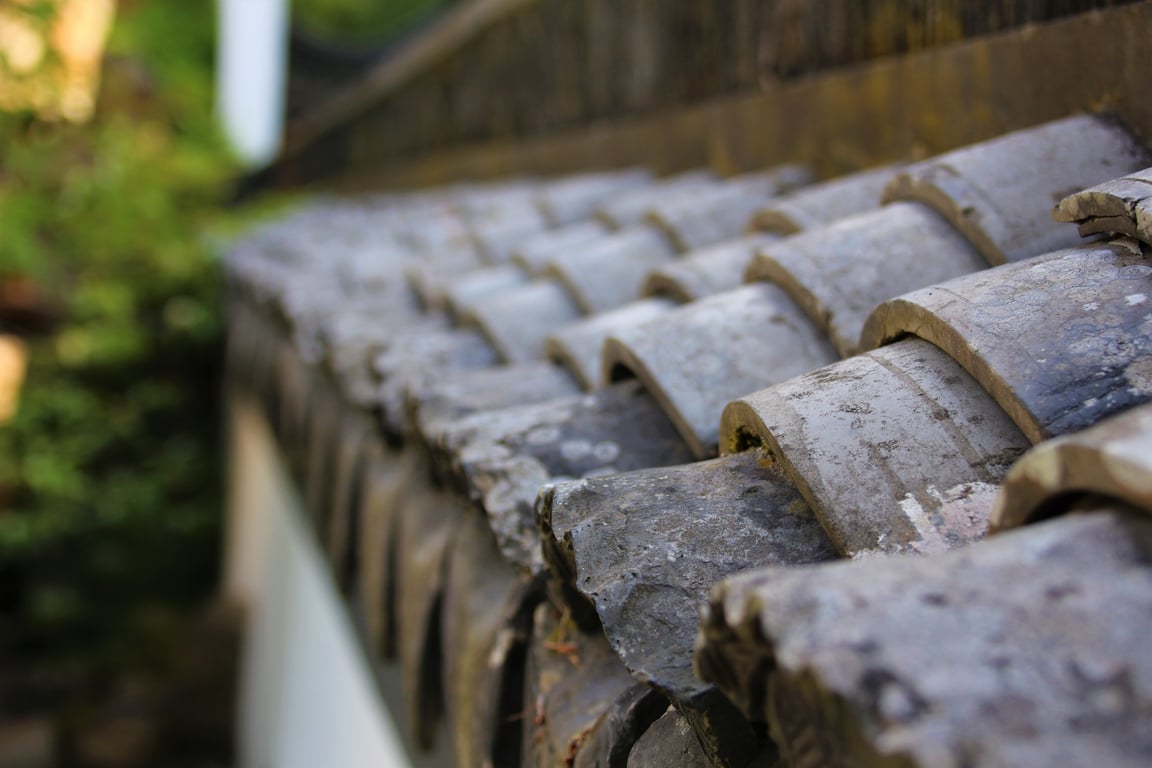 roofing contractor inspection