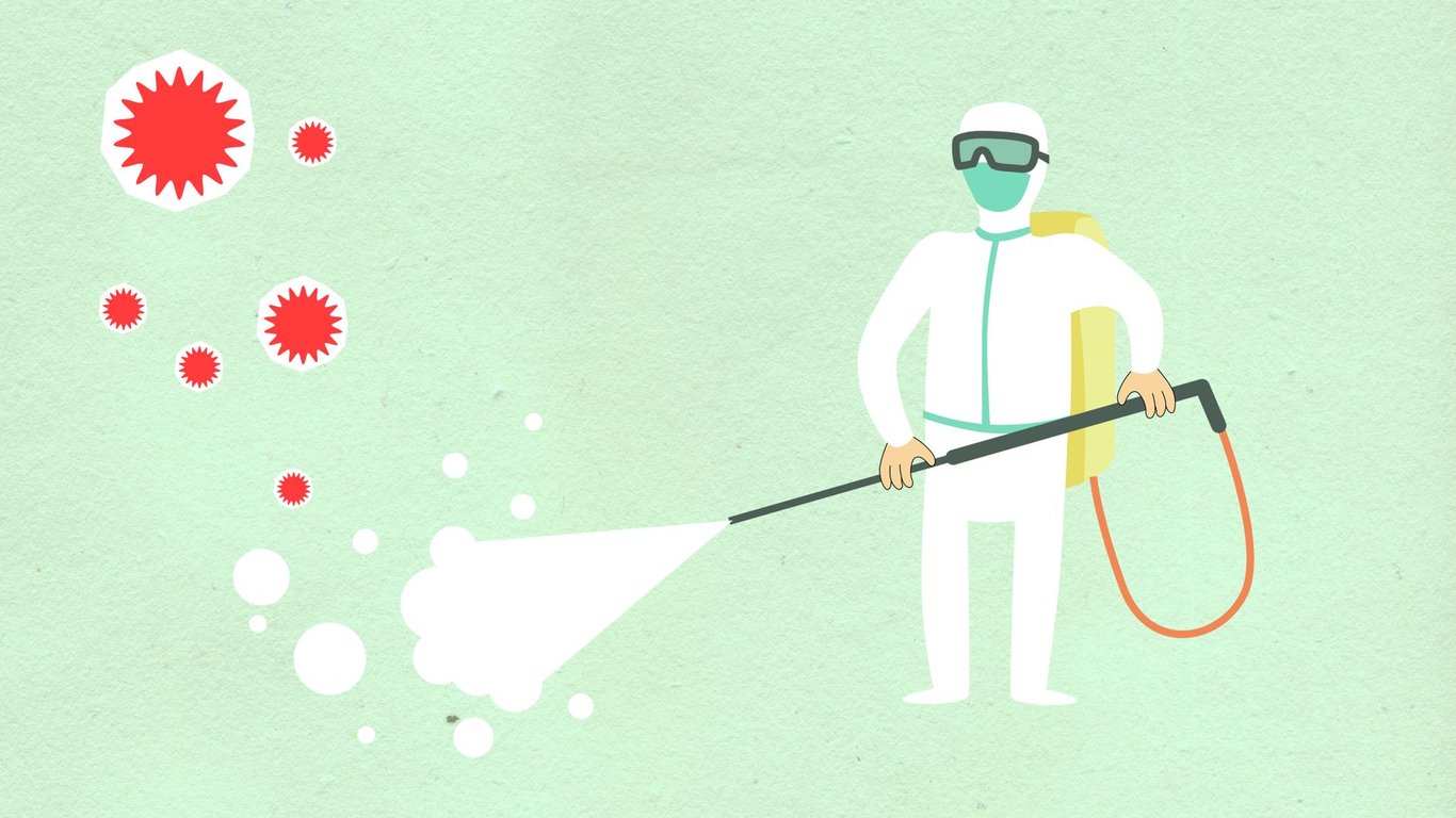 Termite and Pest Control: Protect Your Home Before Damage Spreads