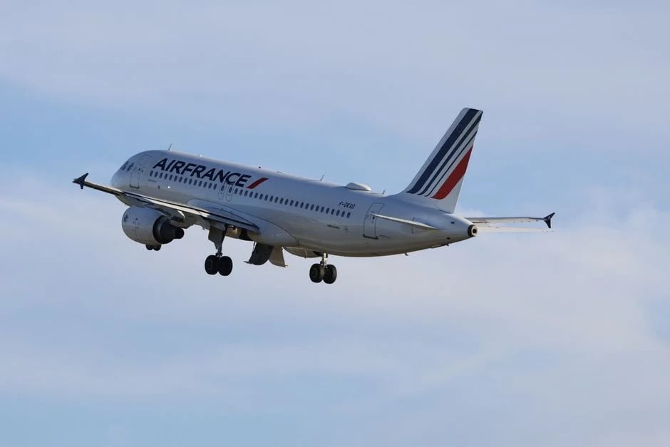 Image describing French Bee Reviews 2026 Best Choice Now or Big Mistake?