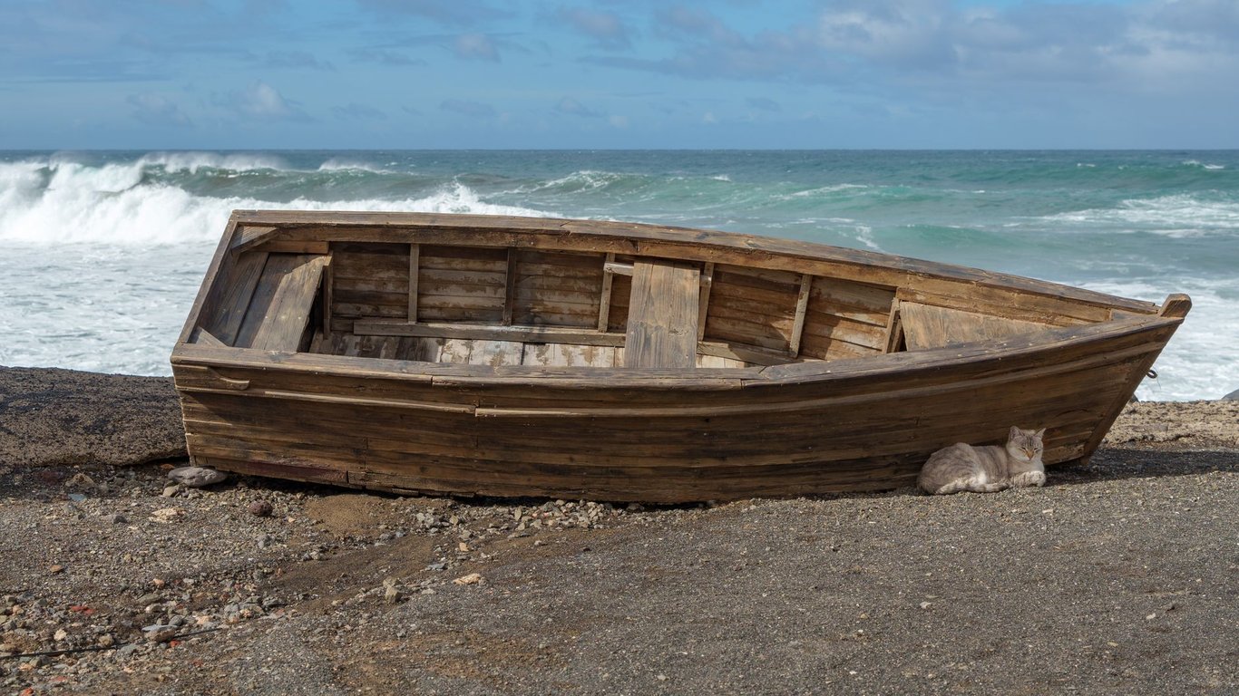 3208 Cat Engine: What Boat Owners Should Know Before Buying or Rebuilding